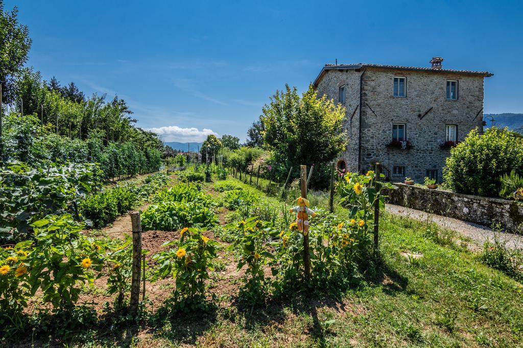 Agriturismo Chioi Barga Exterior foto